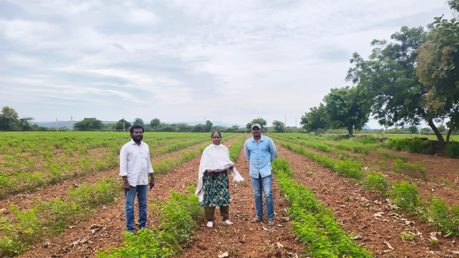 తుమ్మల చెరువు జగన్నాధపురం గ్రామాలలో పొలం పిలుస్తుంది కార్యక్రమం