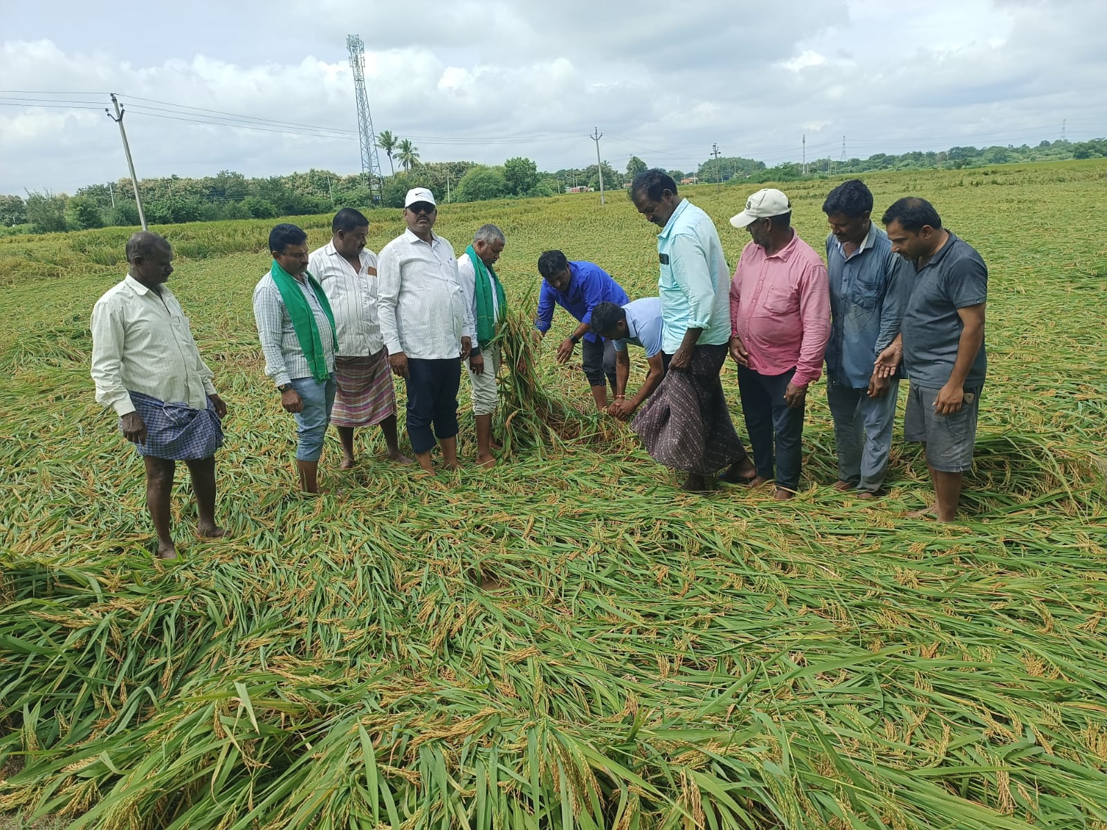 ఆగమవుతున్న అన్నదాతలు