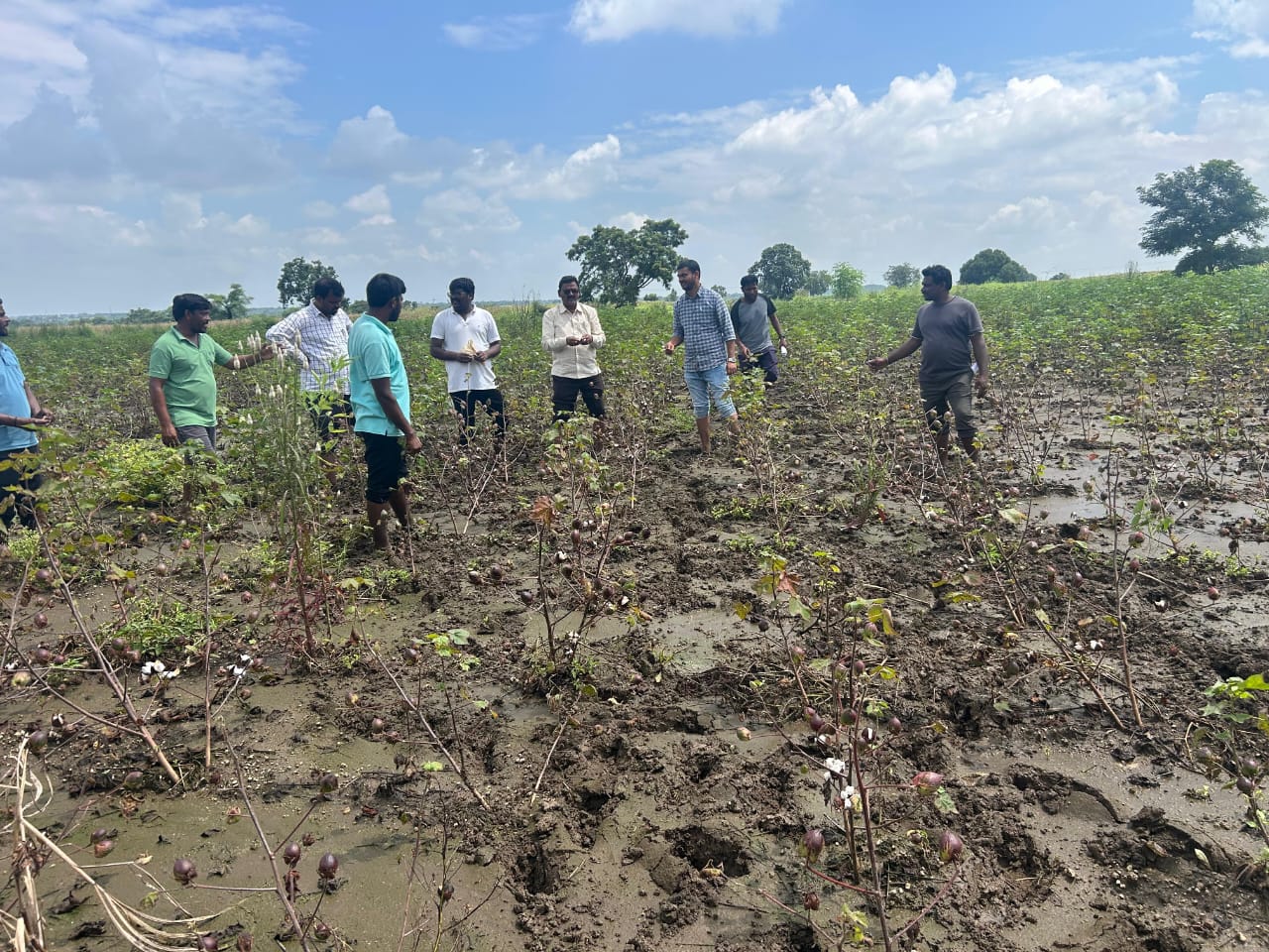 రైతు నేస్తం కార్యక్రమంలో పాల్గొన్న, డిఏఓ రాజారత్నం