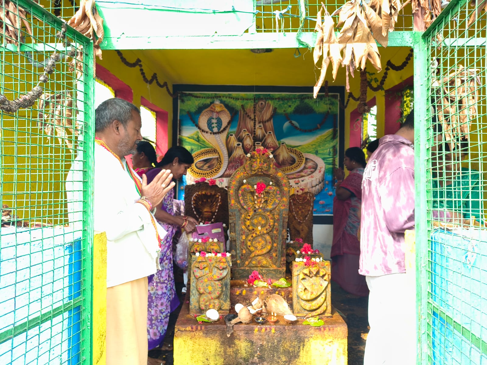 వైభవంగా నాగుల చవితి వేడుకలు.