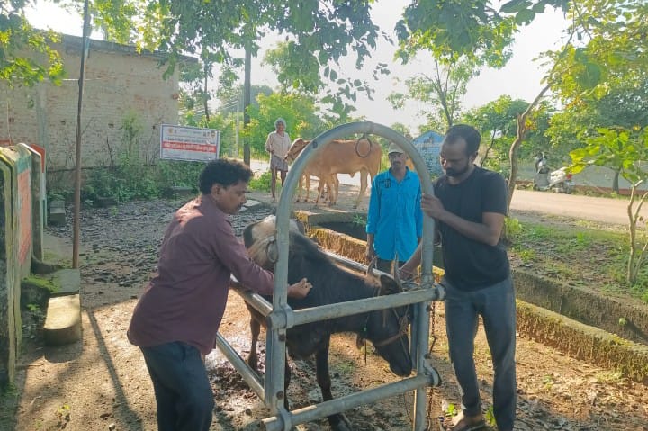 కాట్రపల్లి గ్రామంలో పశువైద్య శిభిరం