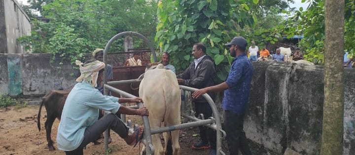 నూర్జహాన్ పల్లి గ్రామంలో పశు వైద్య శిబిరం