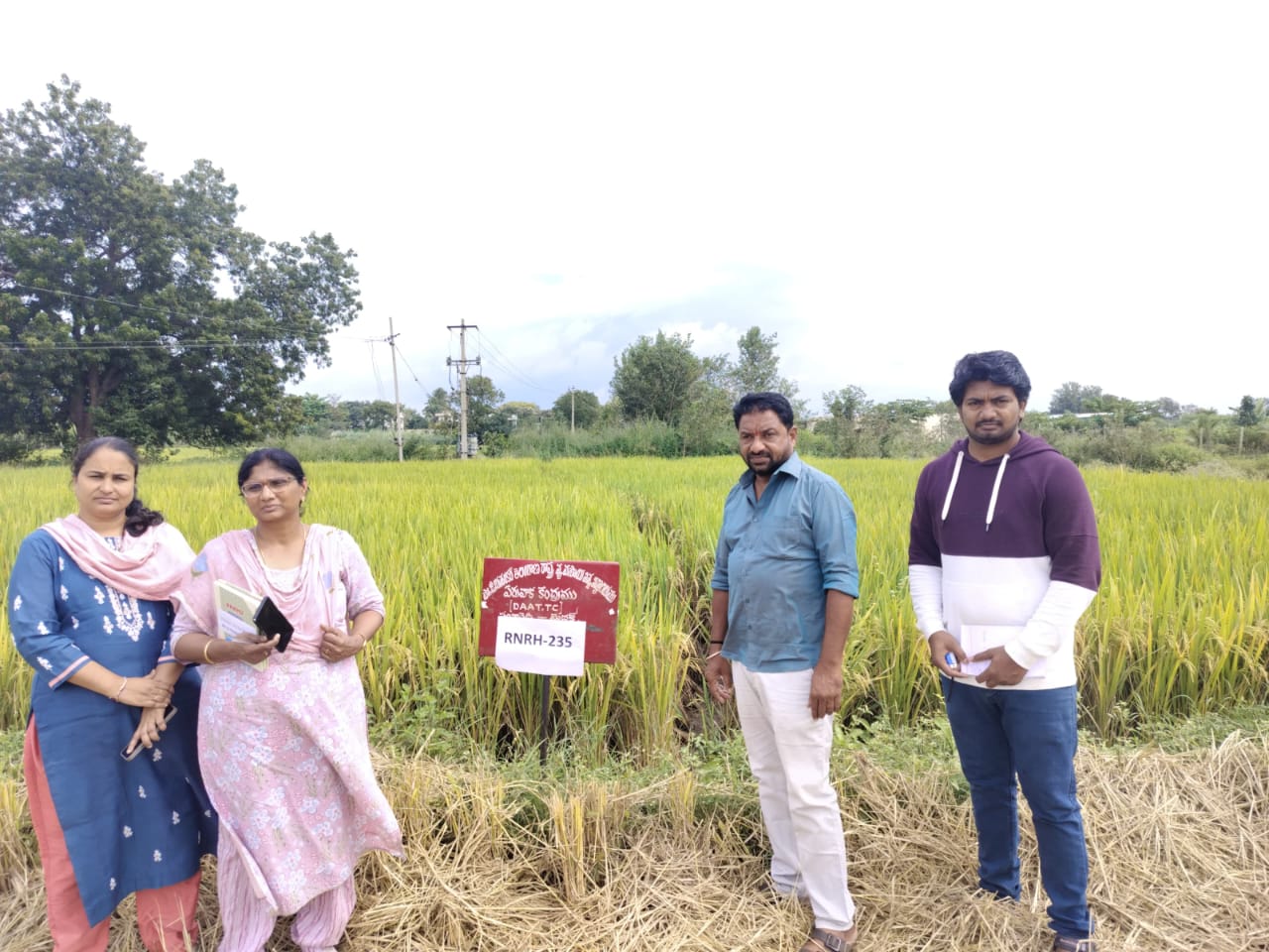 వరి పంట చిరు సంచుల రకాలను పరిశీలించిన తెలంగాణ రైతు విజ్ఞాన కేంద్రం శాస్త్రవేత్తలు