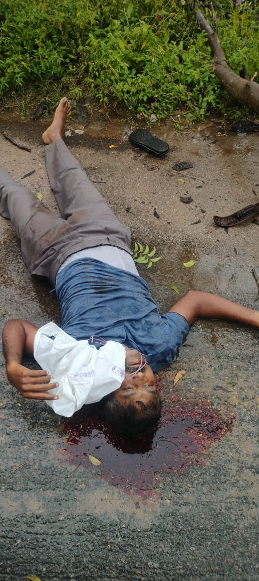 చెట్టు మీద కూలి వ్యక్తి మృతి