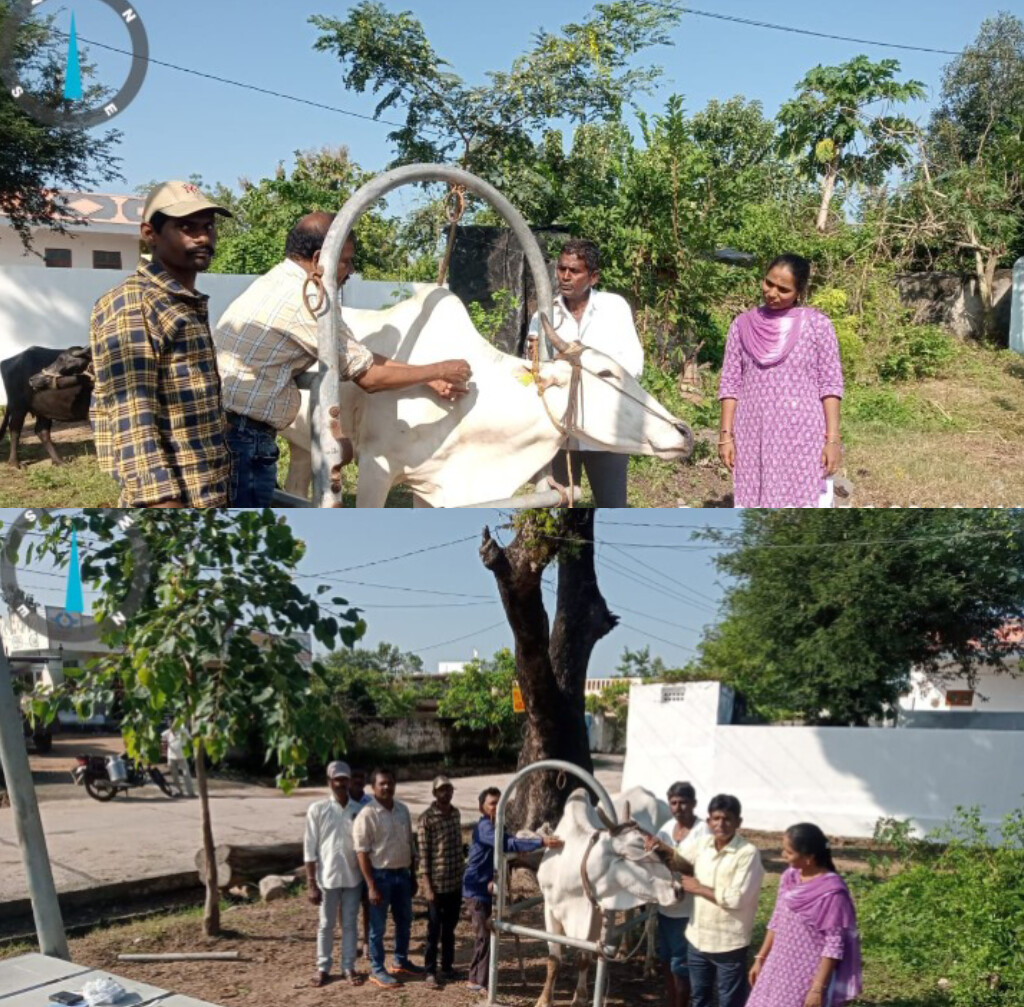 .. పత్తిపాక గ్రామంలో పశువైద్య శిభిరం