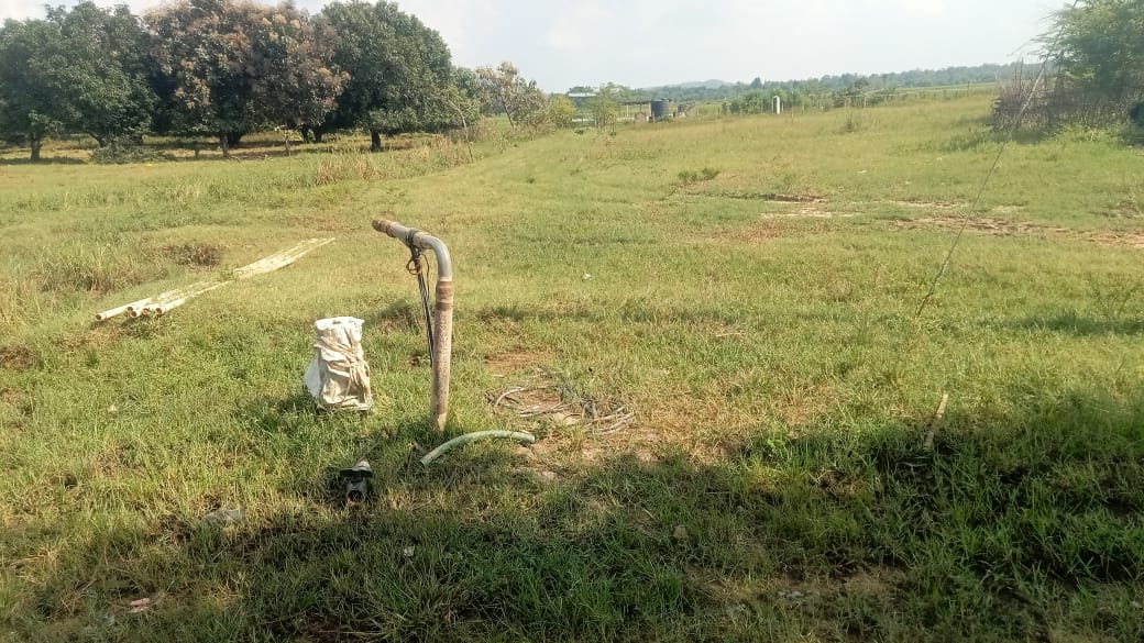 ప్రజలు అరిసె దిశకు – గల్లీలో గందరగోళం