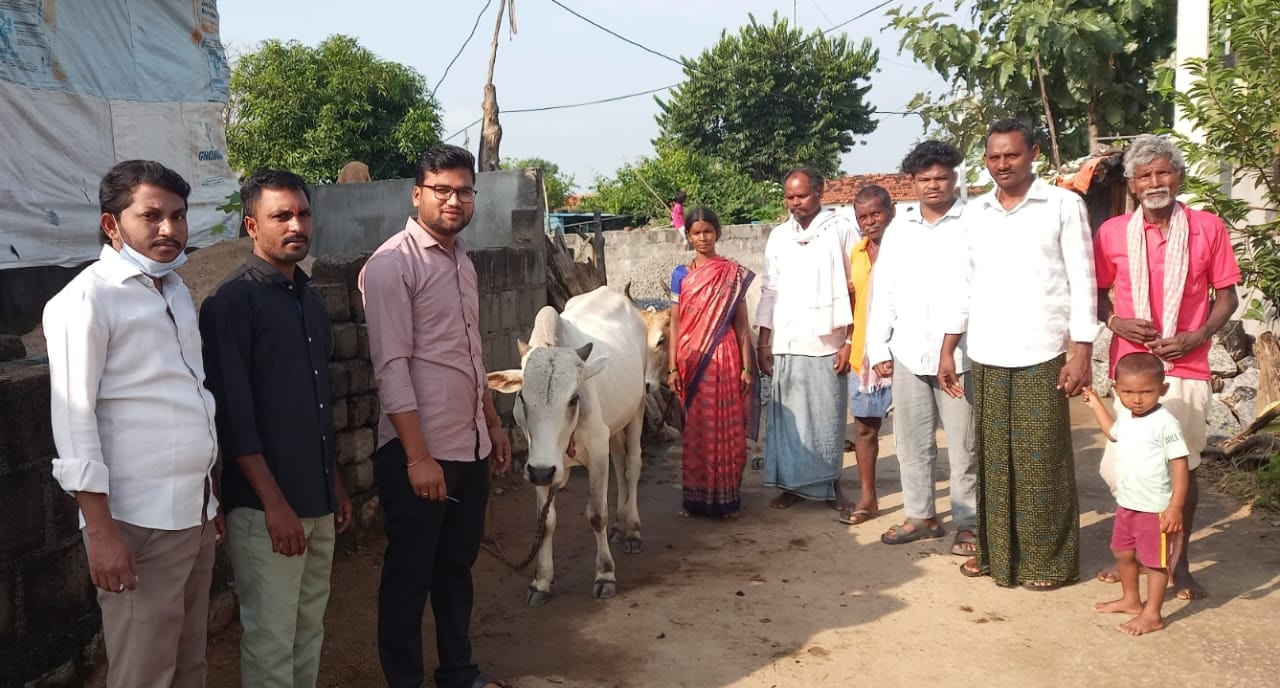 ఉచిత గాలికుంటు వ్యాధి టీకాలు