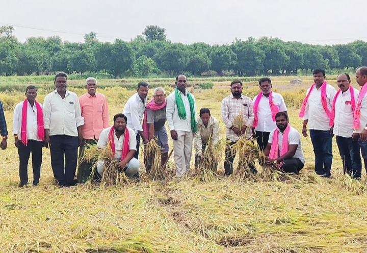 కోతలు లేకుండా ధాన్యాన్ని తరలించే బాధ్యత ప్రభుత్వం దే