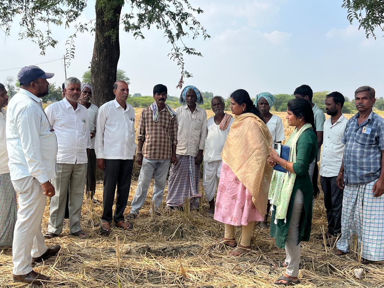 వరి కొయ్యలను కాల్చడం ద్వారా భూసారం తగ్గుతుంది