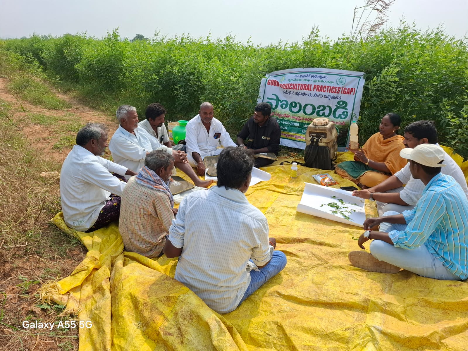 చెన్నారెడ్డిపల్లి గ్రామంలో కంది పంటపై పొలంబడి కార్యక్రమం …మండల వ్యవసాయ అధికారి, తర్లుపాడు.