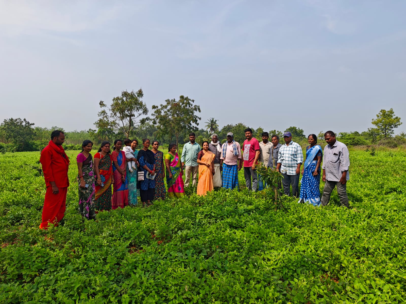 ప్రధాన పంటలో అంతర పంటలు వేయండి : ఎ ఓ మల్లిక