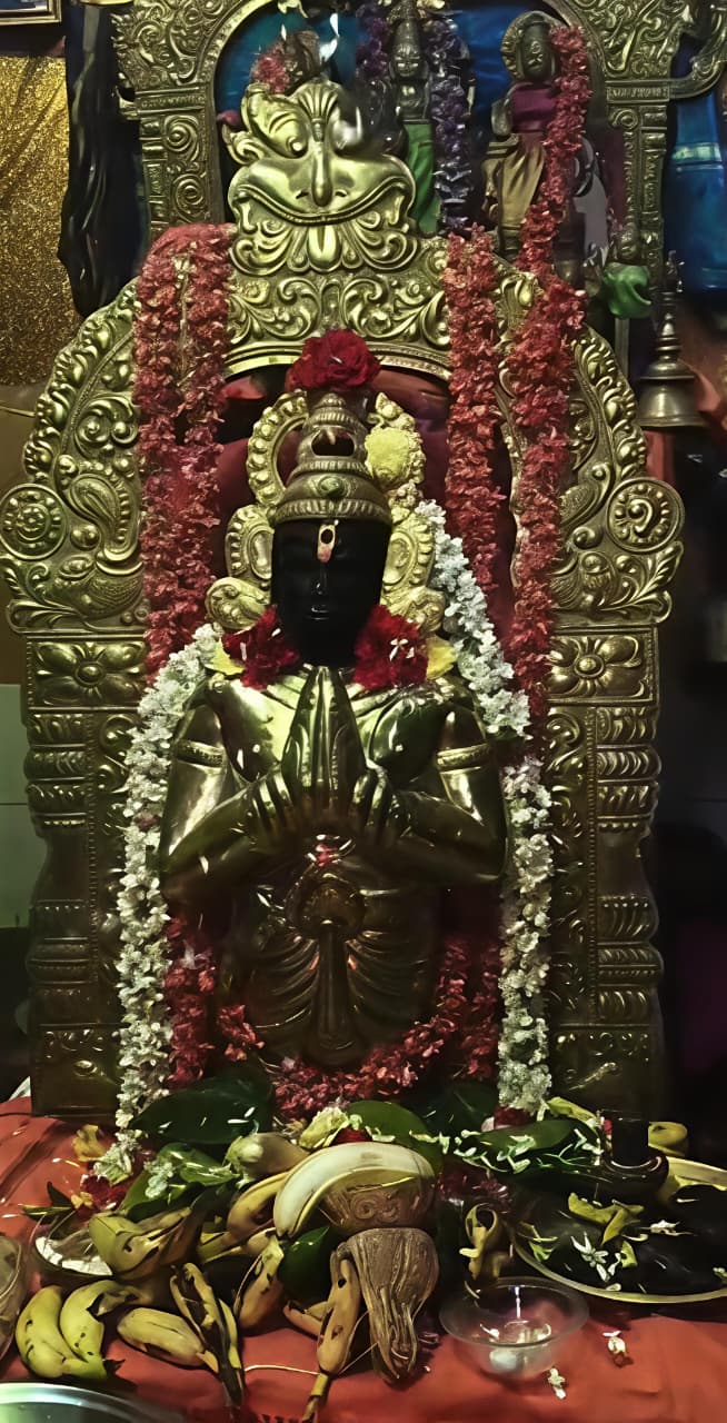 దాసన్నపేటలో వైభవంగా శ్రీ చిన్న ఆంజనేయ స్వామి నూతన కవచ ధారణ మహోత్సవం