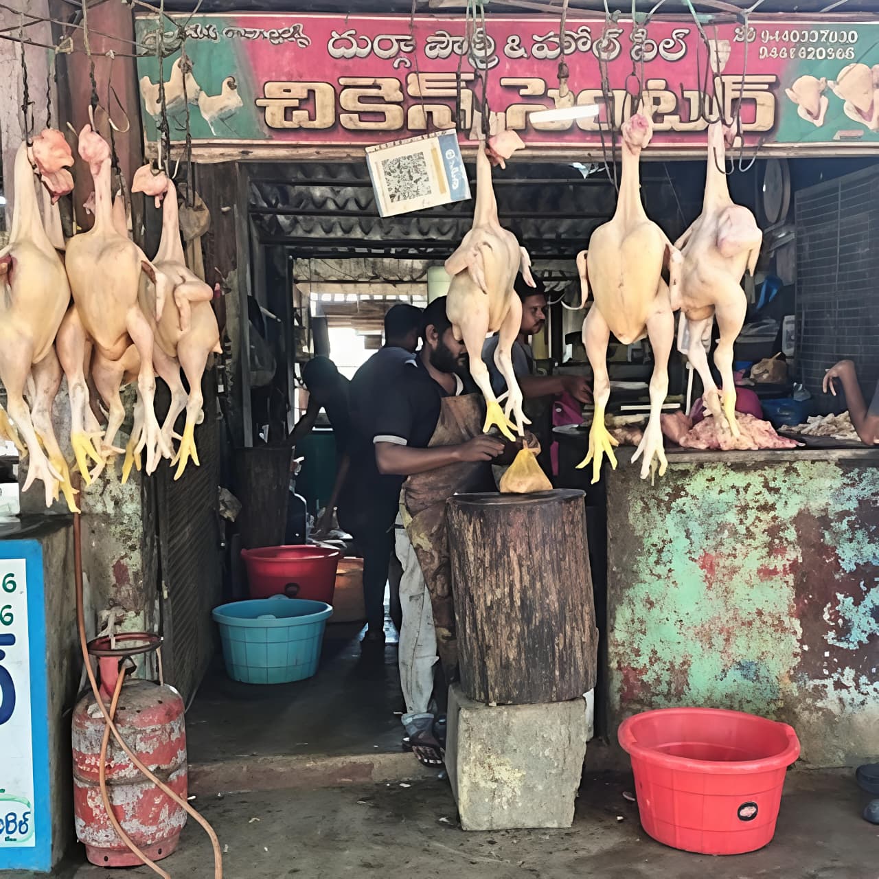 చికెన్‌కు చుక్కలు: కొండెక్కిన ధర.. ఖాళీగా కోళ్ల షాపులు!”