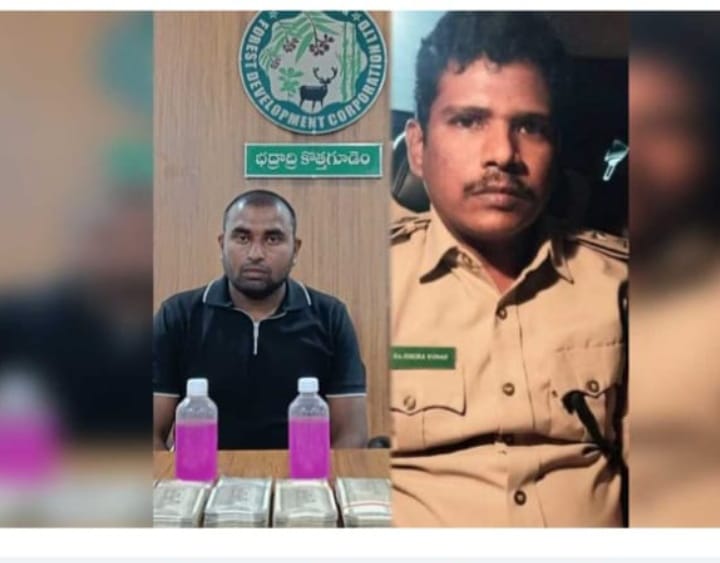 చిక్కినవి చిన్న చేపలే… తిమింగలం ఎక్కడ?” చిన్న చేపలే ఎందుకు చిక్కాయని విమర్శలు?