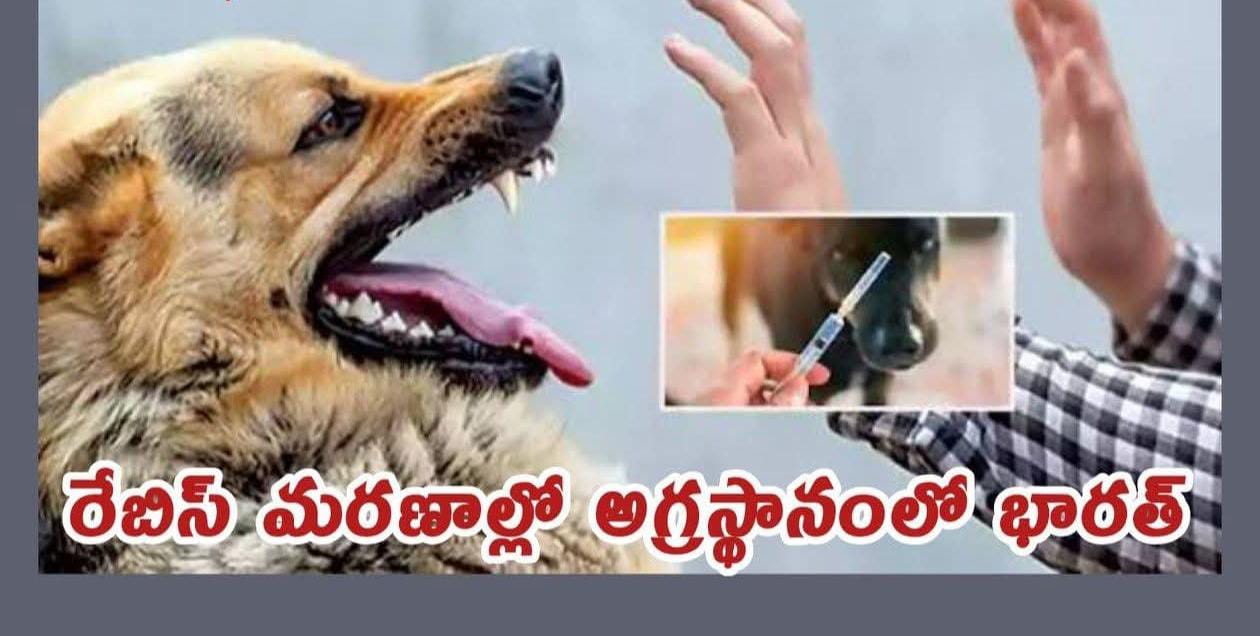 దేశవ్యాప్తంగా కుక్క కాటు కేసులో రోజురోజుకు ఆందోళనకరంగా పెరుగుతున్నాయి