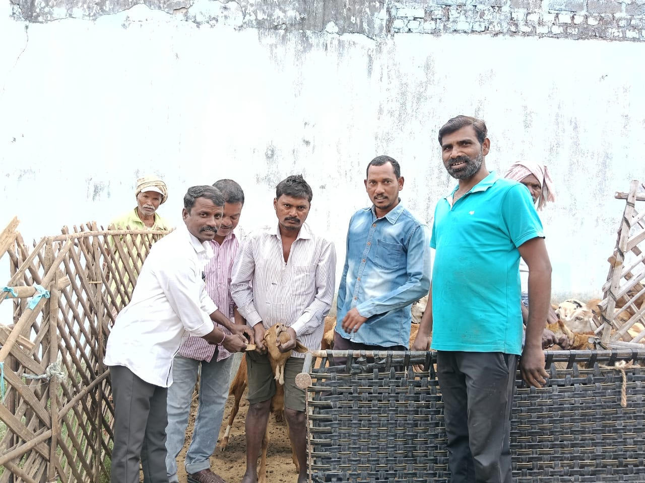 శనివారం రోజున జగన్నాధపురం గ్రామంలో గొర్రెలకు మరియు మేకలకు అమ్మ తల్లి టీకాల శిబిరం.