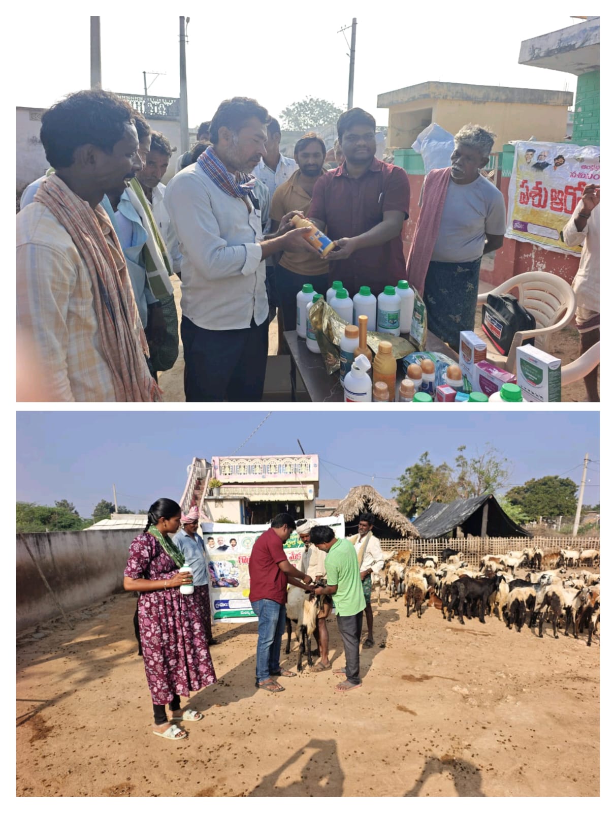 తాడివారిపల్లిలో ఉచిత పశు వైద్య శిబిరం.. తక్కువ ప్రీమియంతో పశు బీమా