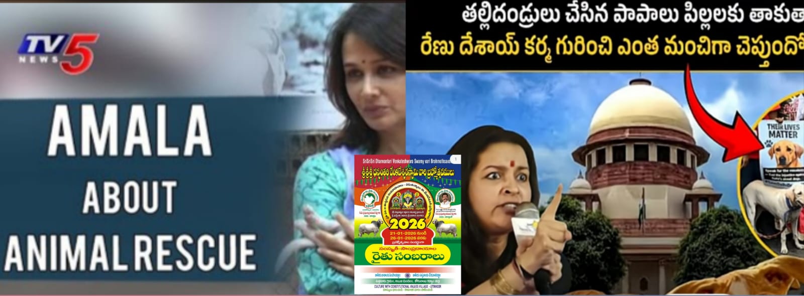 ఉత్తనూర్లు జరుగుతున్న బండలాగుడు కార్యక్రమాన్ని ఎంపీ వేయాలని తెలంగాణ బ్లూ క్రాస్ సంస్థ