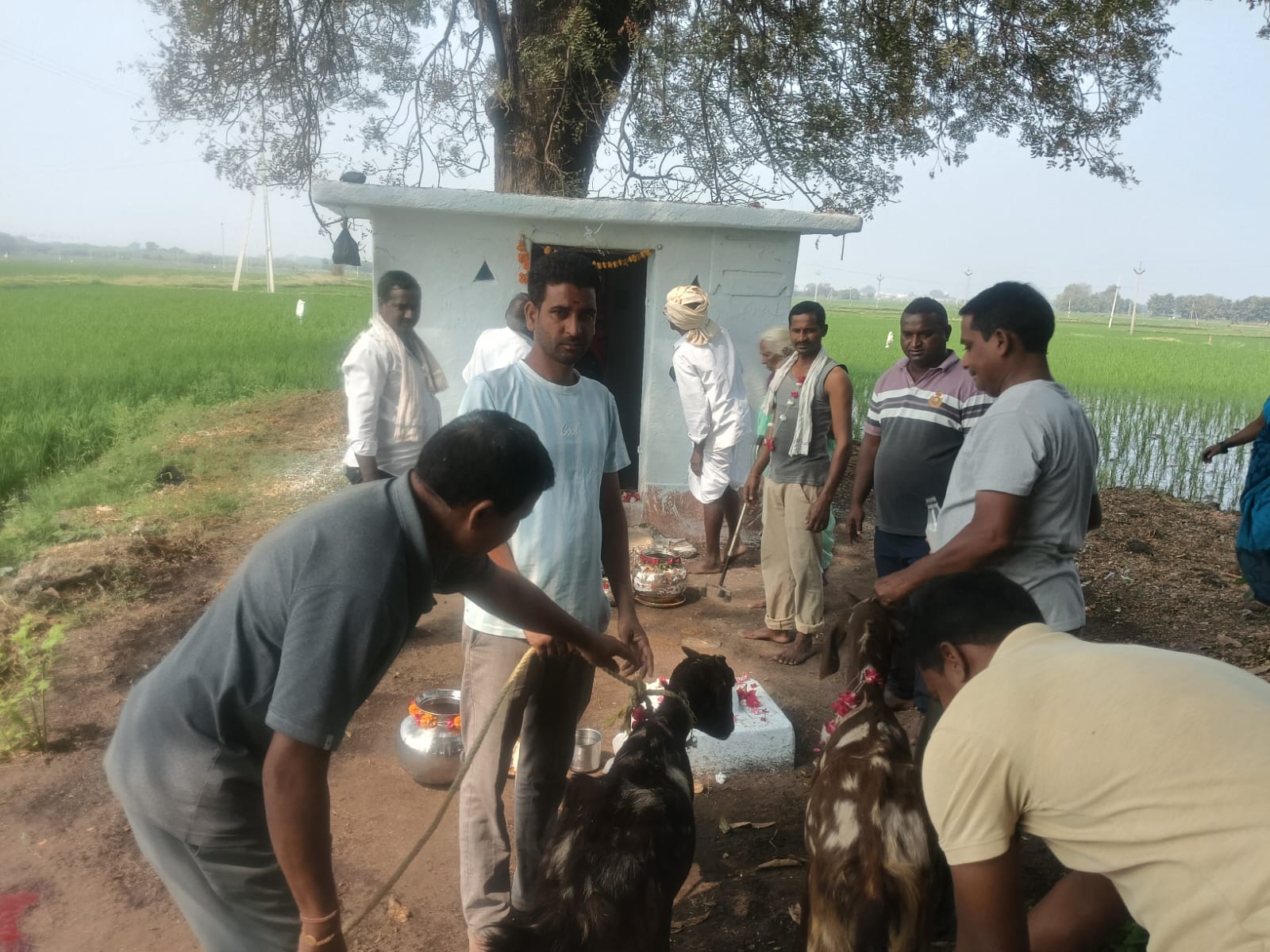 కొండాపోచమ్మ మొక్కలు తీర్చుకున్న గ్రామస్తులు.