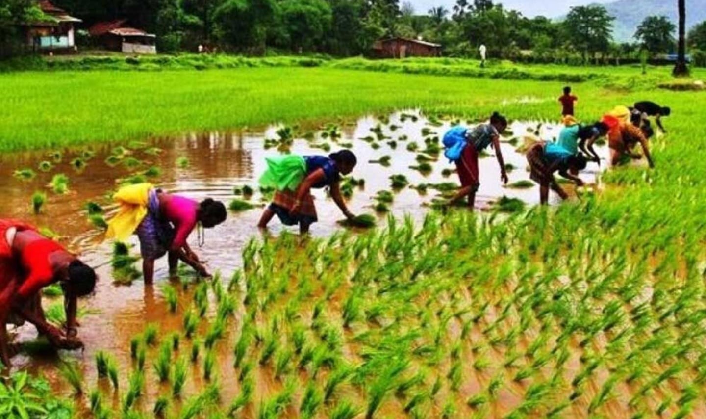 సబ్సిడీపై వ్యవసాయ పరికరాలు