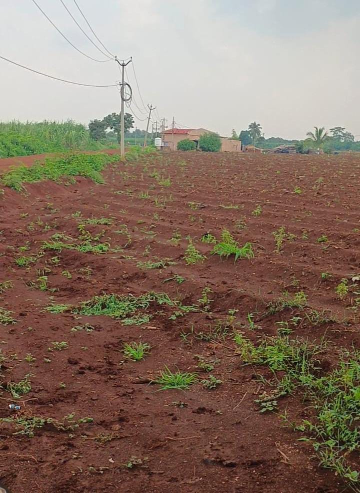 లక్షలాది కుటుంబాలు రోడ్డుపాలు అవుతున్న తెలంగాణ రియల్ ఎస్టేట్ వ్యాపారస్తులు అమ్మకాలు లేక