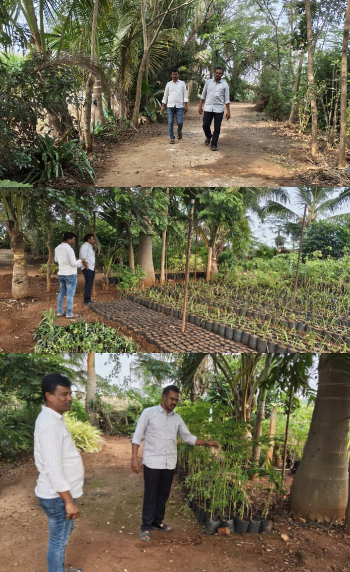 పల్లె ప్రకృతి వనం ,నర్సరీని సందర్శించిన జిల్లా పంచాయితీ అధికారి