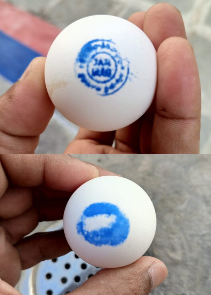 అంగన్వాడీ కేంద్రాంలో గుడ్లు పై నిర్లక్ష్యం