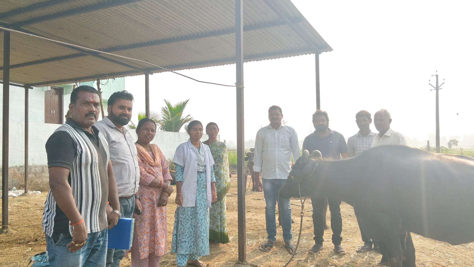 బట్టాపూర్‌లో గేదెలు, పశువులకు గాలికుంటు వ్యాధి నివారణ టీకాలు