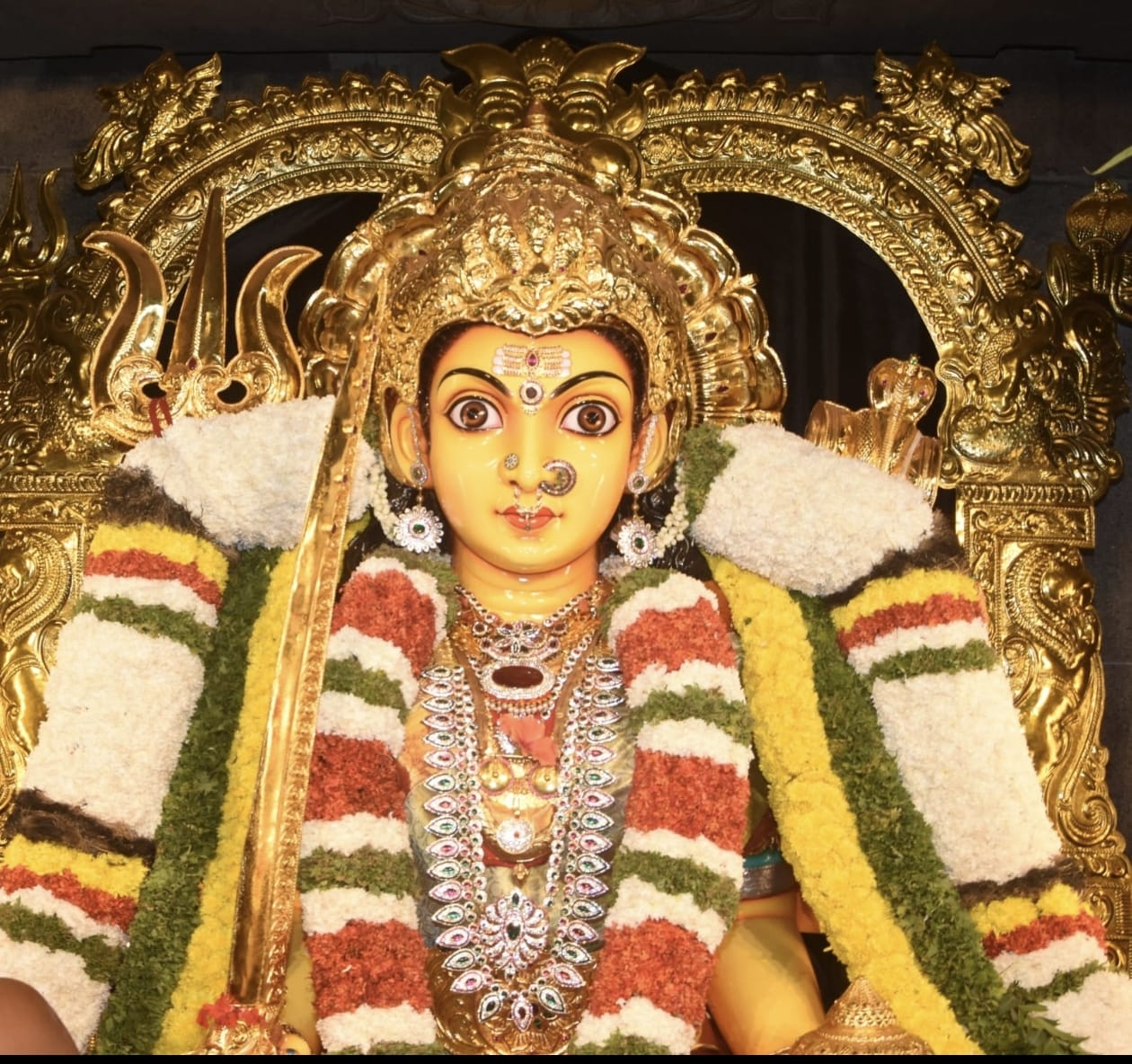 అమావాస్య కారణంగా నూకాంబిక అమ్మవారి దర్శనమునకు కొన్ని గంటల విరామం -చైర్మన్ పీల నాగ శ్రీను (గొల్ల బాబు )