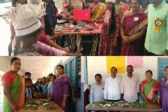 చిలిపి చెడు మండలంలో