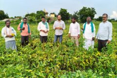 పెద్ద దేవాడ గ్రామంలో తెగుళ్లు శోధన సోయ పంటలను పరిశీలించిన వ్యవసాయ అధికారి