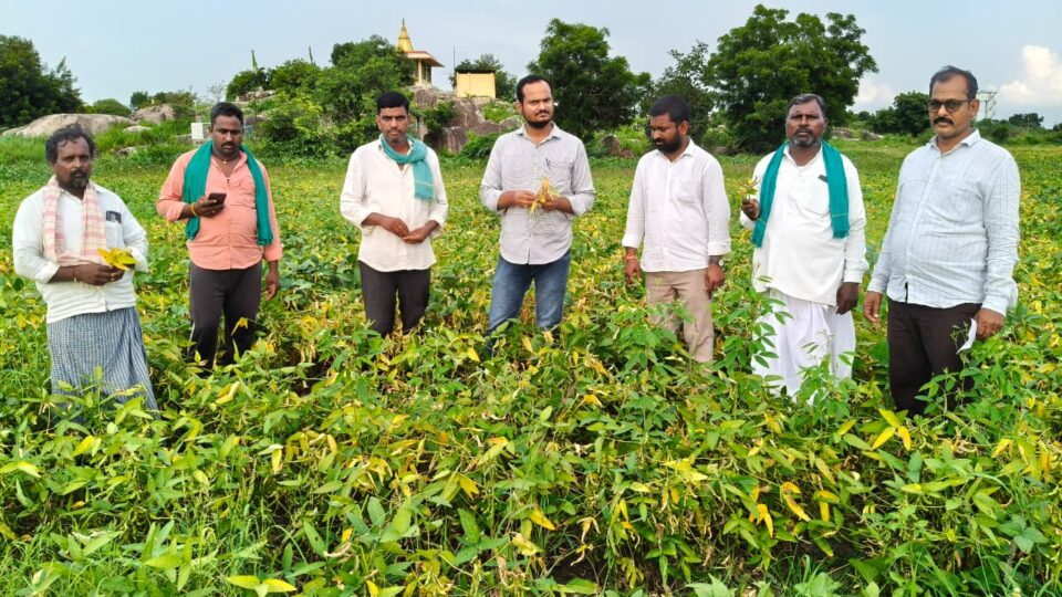 పెద్ద దేవాడ గ్రామంలో తెగుళ్లు శోధన సోయ పంటలను పరిశీలించిన వ్యవసాయ అధికారి