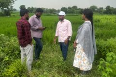 గడువులోగా పంటల సర్వే పూర్తి చేయాలి