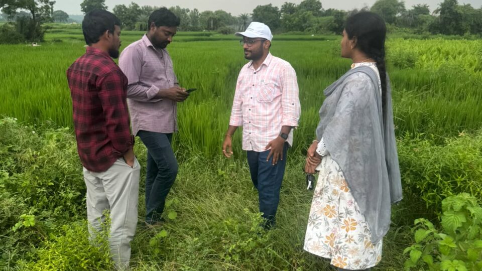 గడువులోగా పంటల సర్వే పూర్తి చేయాలి