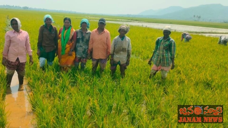 రైతులకు అండగా కూటమి ప్రభుత్వం