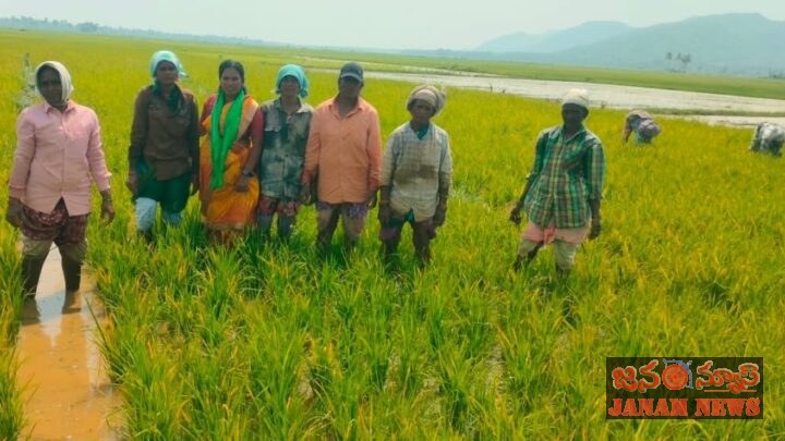 రైతులకు అండగా కూటమి ప్రభుత్వం