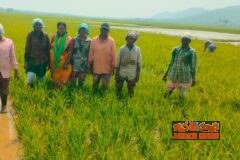 రైతులకు అండగా కూటమి ప్రభుత్వం