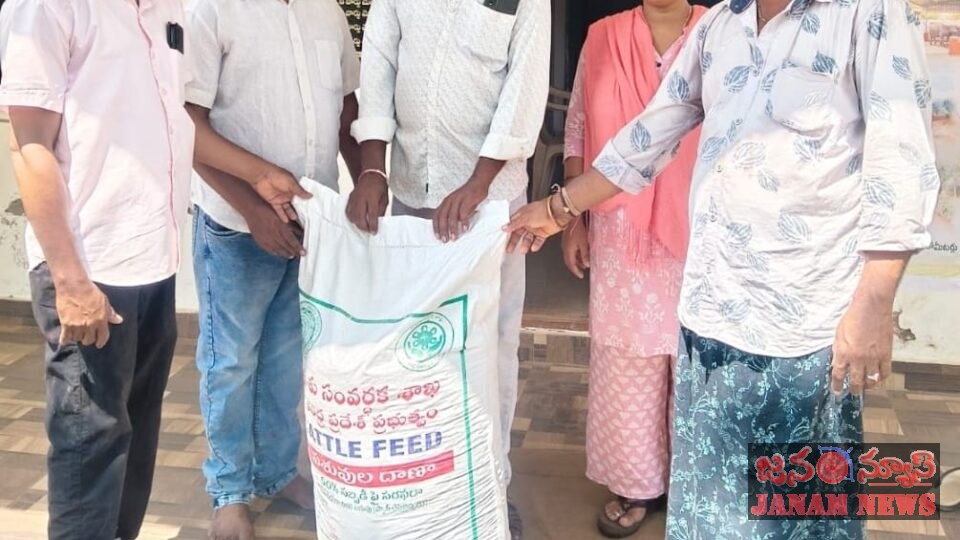 ఉప్పవరంలో రాయితీపై పశు దాణా పంపిణీ