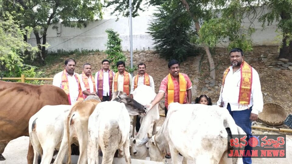 గోశాలలో ఘనంగా గో సేవ కార్యక్రమం50 కిలోల బియ్యపు రవ్వ, బెల్లంతో గోవులకు ఆహారం అందించిన దాత హనుమంతు