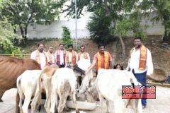 గోశాలలో ఘనంగా గో సేవ కార్యక్రమం50 కిలోల బియ్యపు రవ్వ, బెల్లంతో గోవులకు ఆహారం అందించిన దాత హనుమంతు