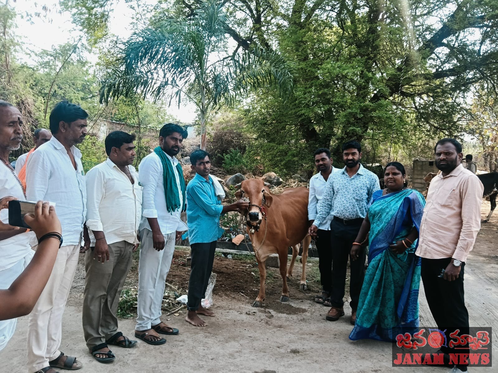 పడంపల్లి గ్రామంలో పశు వైద్య శిబిరం