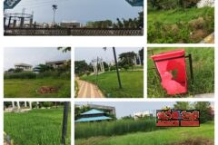 పేరుకే పార్కు.. నిర్వహణకు దిక్కేది?