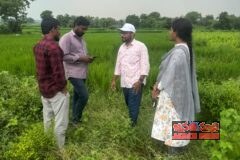 గడువులోగా పంటల సర్వే పూర్తి చేయాలి