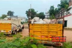 అనుమతి లేకుండా పశువుల అక్రమ రవాణా.. 4 బొలెరో వాహనాలు స్వాధీనం