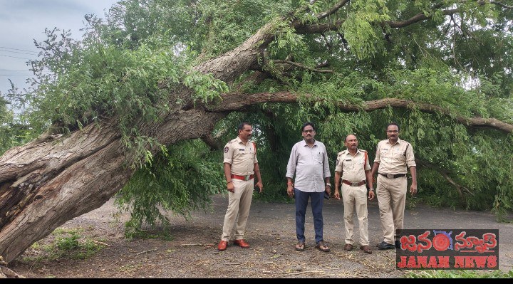 తుఫాను ప్రభావంతో నేలకొరిగిన చెట్లు