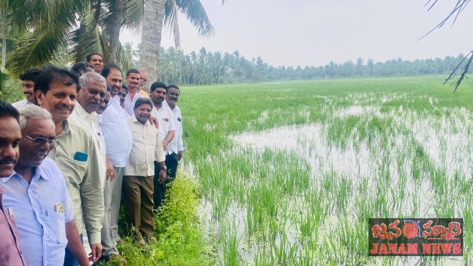 అర్నబ్ తుఫాన్ తో పంట నష్టం పరిశీలించిన ఎమ్మెల్యే దాట్ల సుబ్బరాజు