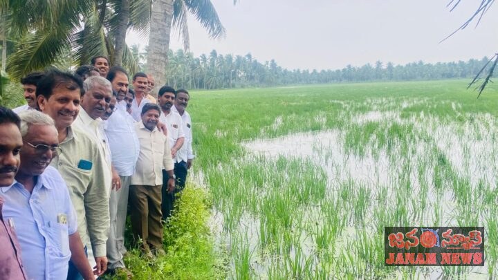 అర్నబ్ తుఫాన్ తో పంట నష్టం పరిశీలించిన ఎమ్మెల్యే దాట్ల సుబ్బరాజు