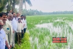 అర్నబ్ తుఫాన్ తో పంట నష్టం పరిశీలించిన ఎమ్మెల్యే దాట్ల సుబ్బరాజు